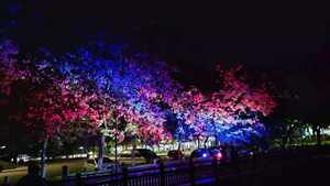 Lámpara de teñido de color IP65 para árboles de Navidad, jardines y eventos al aire libre - Product Image 1