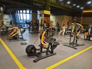 Équipement de musculation commercial : Appareil de remise en forme professionnel pour la musculation des pectoraux et la croissance musculaire - Product Image 3