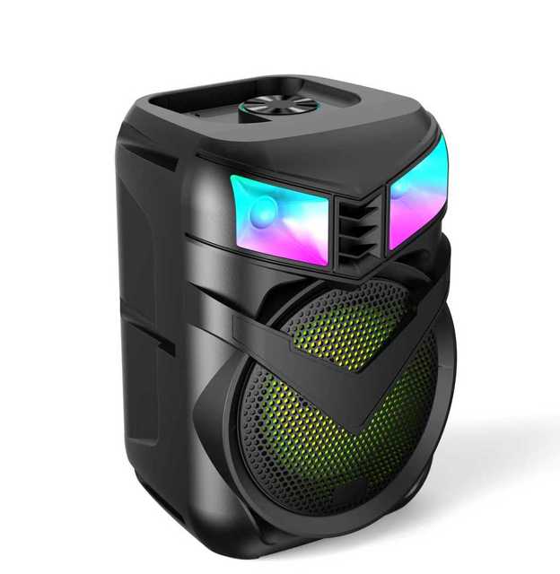 8 Inch Portable Outdoor Party Speaker with USB Wireless Connection Karaoke Microphone RGB Lights IPX5 Waterproof Remote Control