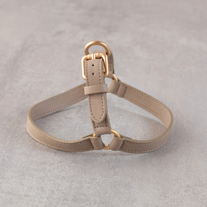 Juego de arnés para perros Fullto Medium, Correa y arnés de lujo para perros, arnés para perros sin tirones - Product Image 1