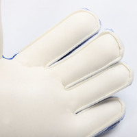 Gants de gardien de but de football populaires pour adultes et enfants, entraînement, logo classique, antidérapants, respirants, avec protection des doigts PACPICK, tailles 5-10