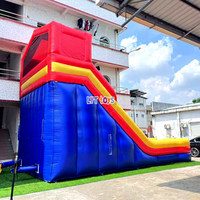 Toboggan Gonflable Thème Dessin Animé, Structure de Jeux à 2 Voies avec Échelle d'Accès, Toboggan Commercial Robuste en PVC pour Enfants à Louer