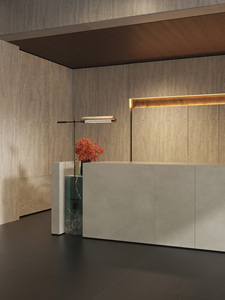 Nhà máy thiêu kết gạch đá tấm phòng tắm phòng khách gạch màu xám <span class=keywords><strong>OEM</strong></span>/CEM bàn - Product Image 3