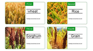 มอเตอร์หลักสำหรับเครื่องเก็บเกี่ยวและนวดข้าวอเนกประสงค์ สำหรับการกะเทาะเปลือกข้าวสาลี ข้าวเปลือก ข้าวฟ่าง และพืชผลอื่นๆ - Product Image 6