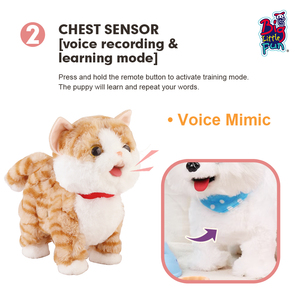 Benutzer definierte elektrische sprechende Hundes pielzeug Super Soft Plüsch Kuscheltier mit USB-Aufladung Moving Ears Singen für Kinder-Bildungs geschenk - Product Image 2