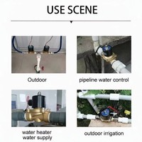 Électrovannes hydrauliques12v24v110v220v vannes solénoïde eau air vapeur membrane proportionnelle bobine de cuivre électrovanne en laiton