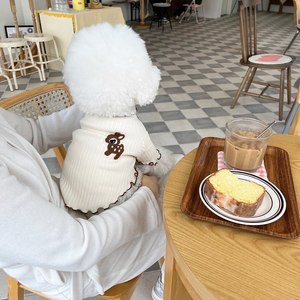 Nueva Camiseta de Manga Abullonada con Encaje para Perros y Gatos, Tejido Combinado, para Bichón, Teddy, Pomerania, Perros Pequeños, Bordada - Product Image 4