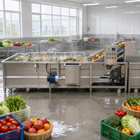 Machine de lavage commerciale pour légumes (peterselie, raisin, laitue iceberg, poivron, piment, poire, pomme, céleri)