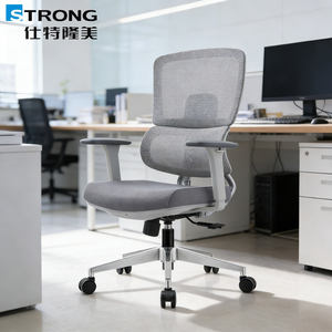 <span class=keywords><strong>Chaise</strong></span> <span class=keywords><strong>de</strong></span> <span class=keywords><strong>bureau</strong></span> ergonomique en maille grise <span class=keywords><strong>haut</strong></span> <span class=keywords><strong>de</strong></span> <span class=keywords><strong>gamme</strong></span>, best-seller moderne, avec soutien lombaire réglable et accoudoirs 3D pour le travail quotidien au <span class=keywords><strong>bureau</strong></span> - Product Image 1