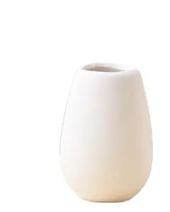 Белый суккулент горшок для растений «DIY» керамическая бисквитная ваза для украшения сада детская живопись