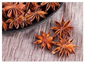 Anís estrellado seco de alta calidad, 100% natural, en bolsa a granel - Product Image 3