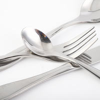 Vaisselle de style moderne en acier inoxydable, ensemble de vaisselle, personnalisable, nouveaux produits, pour la cuisine, livraison gratuite