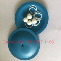 Pompe à diaphragme pneumatique HUSKY 307 / Kit de réparation de valve pneumatique HUSKY 239952, pièces de réparation de diaphragme / Pièces d'origine HUSKY