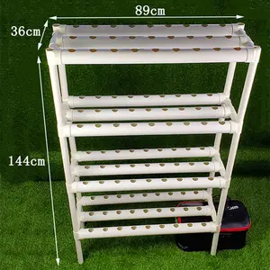 Cubo holandés de invernadero para hidroponía agrícola