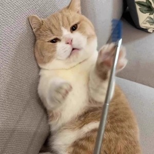 Cat Teaser Extendable Scratch Massager Long Handle Interactive Pet Toy For Cats Boredom Buster Solid Plastic QW2745 - Product Image 2