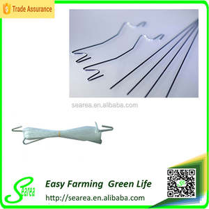 Gancho para Tomates con Cuerda de 39 pies para Evitar que los Tomates se Enreden o se Caigan por las Plantas, Vegetales, Frutas y Flores - Product Image 4