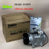 Nicht Wiederaufbereiteter Original Valeo TM65 Kompressor OE: Z0015830 Gehäuse 24V 8PK 196mm Hochleistungs-Kühleinheit für Busse