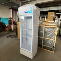 Réfrigérateur commercial vertical 300L pour boissons, vitrine réfrigérée avec porte vitrée pour la présentation de boissons