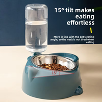 Ensemble de distributeur d'eau automatique 2 en 1 pour animaux de compagnie, bol en acier inoxydable pour manger et boire pour chats et petits chiens