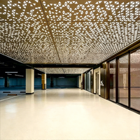 Plafond en aluminium perforé de luxe, ciel étoilé - ignifuge, résistant à l'humidité, pour centre commercial, hôpital, villa, club, carrelage décoratif