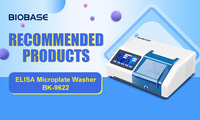 Laveur de microplaques Elisa BIOBASE 96 puits, lecteur de microplaques Elisa BK-9622 pour laboratoire ou hôpital