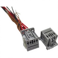 Faisceau de câblage hybride automobile 29 broches avec connecteur rectangulaire pour l'électronique des véhicules