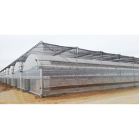 Grande serre Venlo agricole multi-travées avec système de chauffage de refroidissement pare-soleil de ventilation matériau PE pour la croissance des plantes