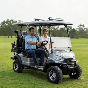 Voiturette de <span class=keywords><strong>golf</strong></span> électrique Holladay en acier 3-4 places, moteur puissant 60V, sur mesure, 3500W, certifiée CE, avec pare-soleil - Product Image 5