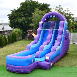Tobogán Inflable <span class=keywords><strong>de</strong></span> PVC <span class=keywords><strong>de</strong></span> 6x3m para Uso Comercial, Tobogán Acuático para Parques <span class=keywords><strong>de</strong></span> Aventuras en Interiores/Exteriores - Product Image 1