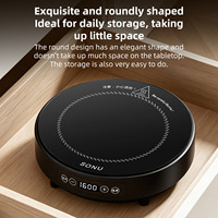 Cuisinière à induction électrique compacte 1600W avec minuteur, portable pour les voyages en plein air, norme européenne 220V/110V, modèle en anglais