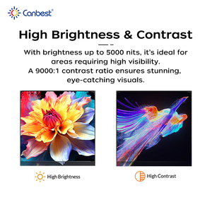 Canbest trong nhà 6 mét trong suốt <span class=keywords><strong>LED</strong></span> Glass Màn hình hiển thị P10 P3 siêu mỏng linh hoạt trong suốt <span class=keywords><strong>LED</strong></span> bức tường video cho cửa sổ bán lẻ - Product Image 5