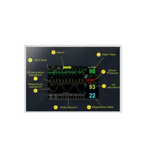 EV213U0M-N10 BOE 21.3 Inch TFT LCD Display 1600x1200 IPS Ultra High Brightness LCD Module