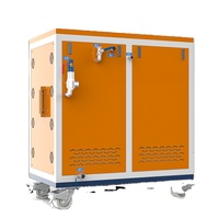 Générateur de vapeur électrique entièrement automatique de 48 kW, chaudière à vapeur pour la cuisson et le traitement, fabriqué en Chine