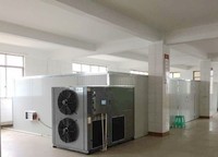 2024 Kinkai automatisé à température contrôlée haute capacité 360 degrés à couverture complète pompe à mangue sèche