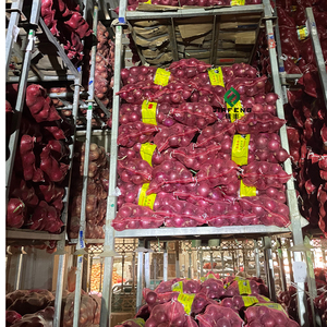 Exportación de Cebolla Fresca: Nueva Cosecha de Cebolla Roja y Cebolla Amarilla al por Mayor - Product Image 5