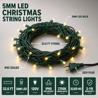 Lampu String LED Mini 5MM Sudut Lebar Cekung untuk Natal dengan Colokan Koaksial AS/Kanada Panjang 25FT Berperingkat IP65 Mudah Dipasang