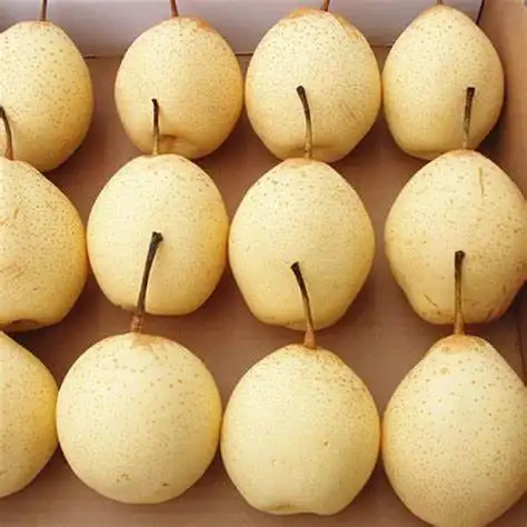 Meilleur fournisseur de vente en gros de poires aux fruits frais disponibles en Stock en vrac