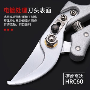 Heavy Duty <b>Pruning</b> Shears Stainless Steel 5mm Max Cut Garden Fruit <b>Tree</b> Trim <b>Tool</b> - Product Image 2