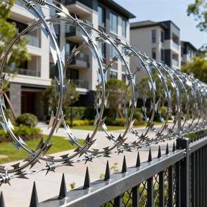 Ruban <span class=keywords><strong>barbelé</strong></span> purifié à base de matières premières pour la protection quotidienne des ateliers industriels - Product Image 6