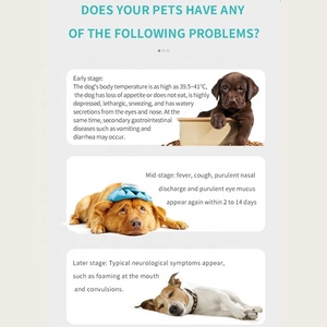 USMILEPET, venta al por mayor de plástico, virus de moquillo canino, prueba rápida de antígeno de diagnóstico in <span class=keywords><strong>vitro</strong></span>, prueba de antígeno para CDV - Product Image 2