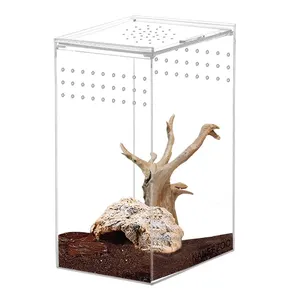 Customized Spider Scorpion Horn Frog Lizard Transparent Acrylic Feeding Box Crawling Pet Reptile Cage