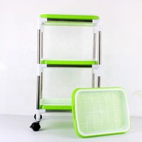 GREENPOWER Germeur de graines de blé sain à 4 couches, personnalisable, robuste, réutilisable, écologique, avec plateaux rectangulaires en plastique pour la maison