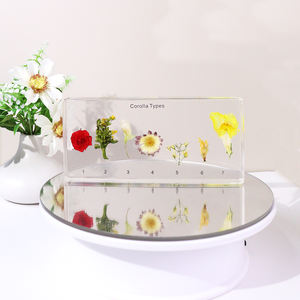 Alti tipi di Corolla acrilica trasparente campione di resina giocattoli educativi per la scuola superiore - Product Image 2