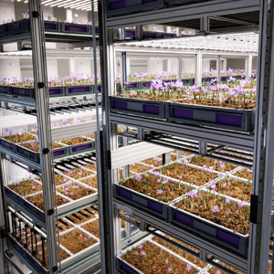 Climate‑Controlled Deployable Indoor Vertical Hydroponic Container Modular Farm Box For All‑Year Commercial Saffron Growing - Product Image 5