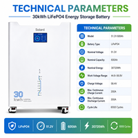 Batterie de stockage d'énergie solaire LiFePO4 à cycle profond, longue durée de vie, hybride, pour extérieur, avec contrôle BMS avancé, CAN, 30 kWh, empilable