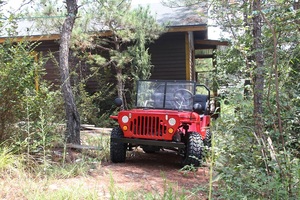 4-тактный Автоматический Газовый двигатель, 150 куб. См - Product Image 6