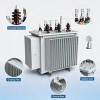 Transformateur de distribution immergé dans l'huile 10kV 20kV S13/S20/S22 triphasé, à faible perte, ONAN, à noyau scellé en cuivre et aluminium, haute performance