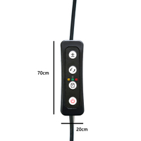 Interrupteur de contrôle de température avec minuterie pour chauffage/variateur LED/contrôleur de ventilateur