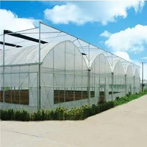 New Polytunnel Plastic Film Hydroponics System Greenhouses Agricultural Greenhouses For Tomato Planting