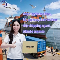 El Agente de Transporte Marítimo Más Económico de China a Europa para Servicio DDP LCL y Puerta a Puerta